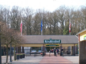 Keukenhof