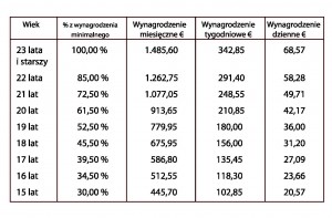 Tab.1  Minimalne wynagrodzenie brutto w zależności od wieku pracownika (źródło: opracowanie własne)