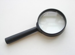 Polacy sezonowo pracujący w Holandii pod lupą Belastingdienst