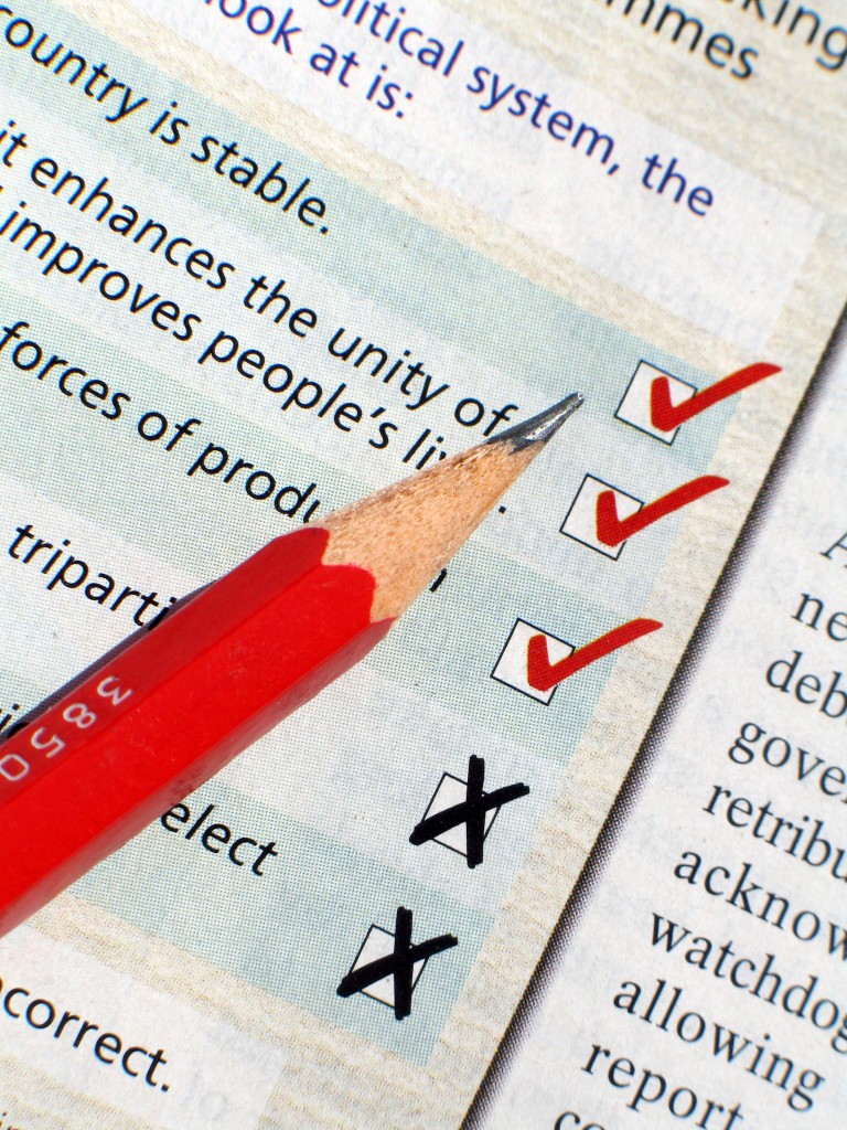 Write An Essay On Responsibilities Of A Good Citizen
